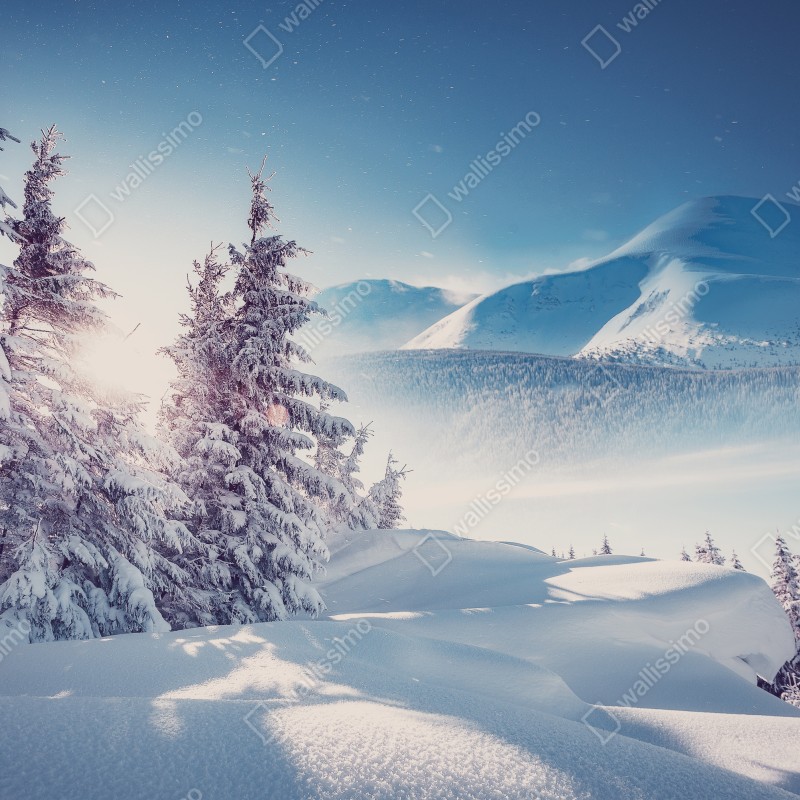 Naklejka repozycjonowalna majestatyczny zimowy krajobraz Karpat – Wallissimo® Naklejka repozycjonowalna majestatyczny zimowy krajobraz Karpat – Wallissimo®