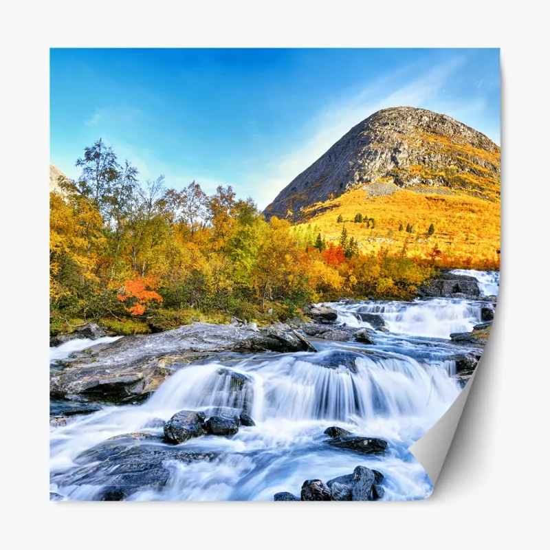 Naklejka repozycjonowalna mglisty las w odcieniach szarości – Wallissimo®