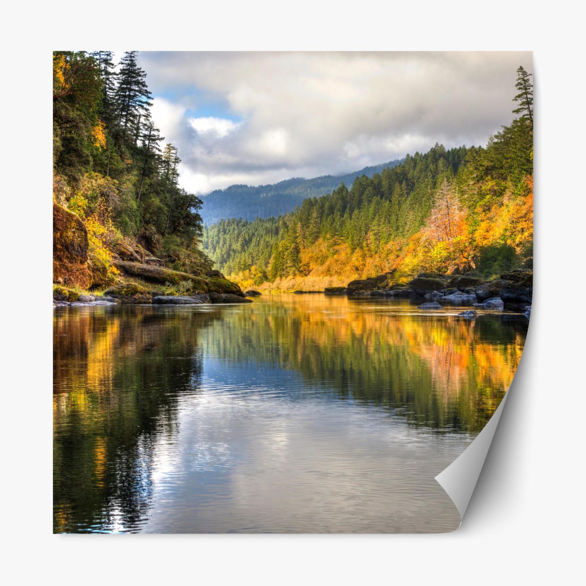 Repositionable sticker Rogue River autumn reflections