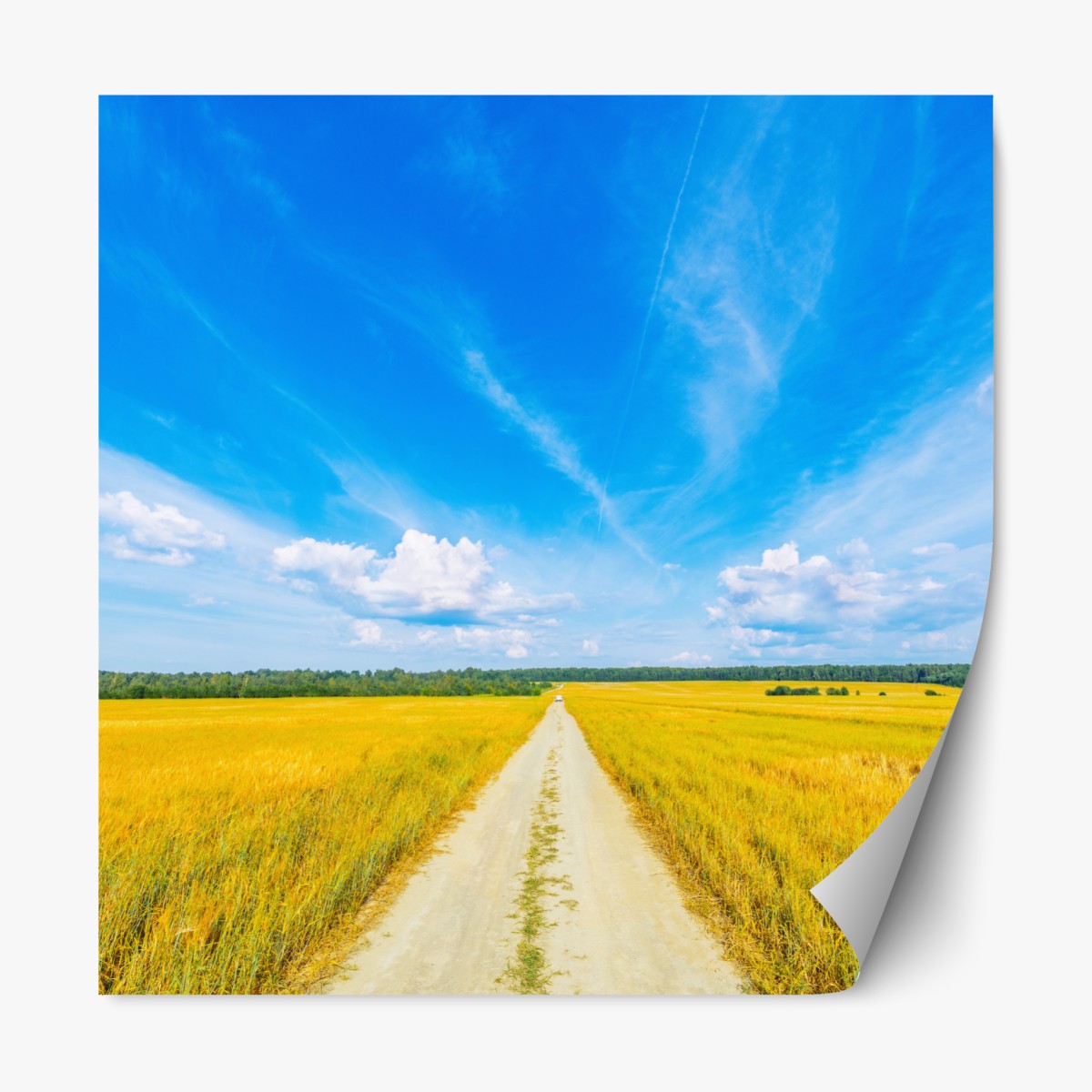 Repositionable sticker golden meadow under a wide blue sky