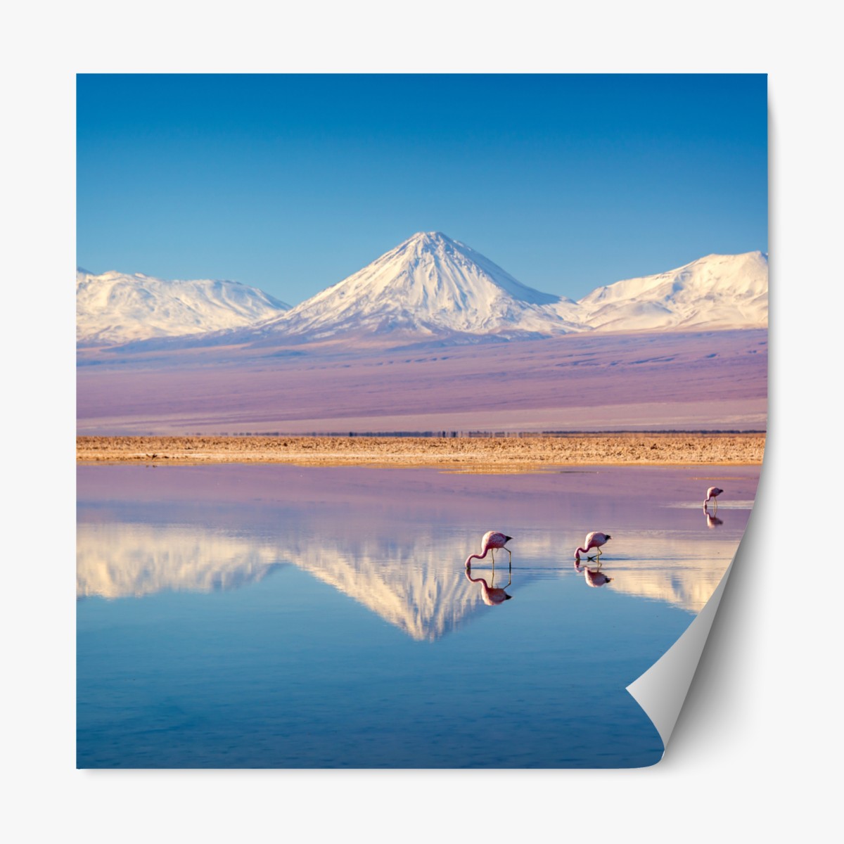 Repositionable sticker Laguna Chaxa with flamingos and Licancabur