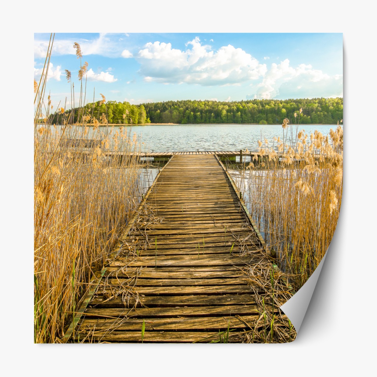 Repositionable sticker wooden pier leading to a tranquil lake