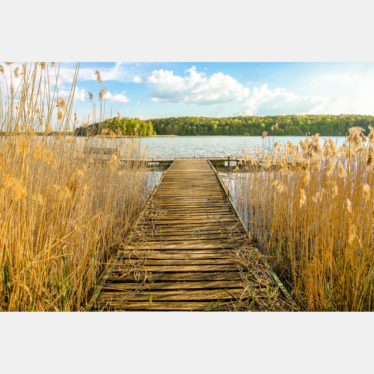 Naklejka repozycjonowalna drewniany pomost nad spokojnym jeziorem – Wallissimo® Naklejka repozycjonowalna drewniany pomost nad spokojnym jeziorem – Wallissimo®