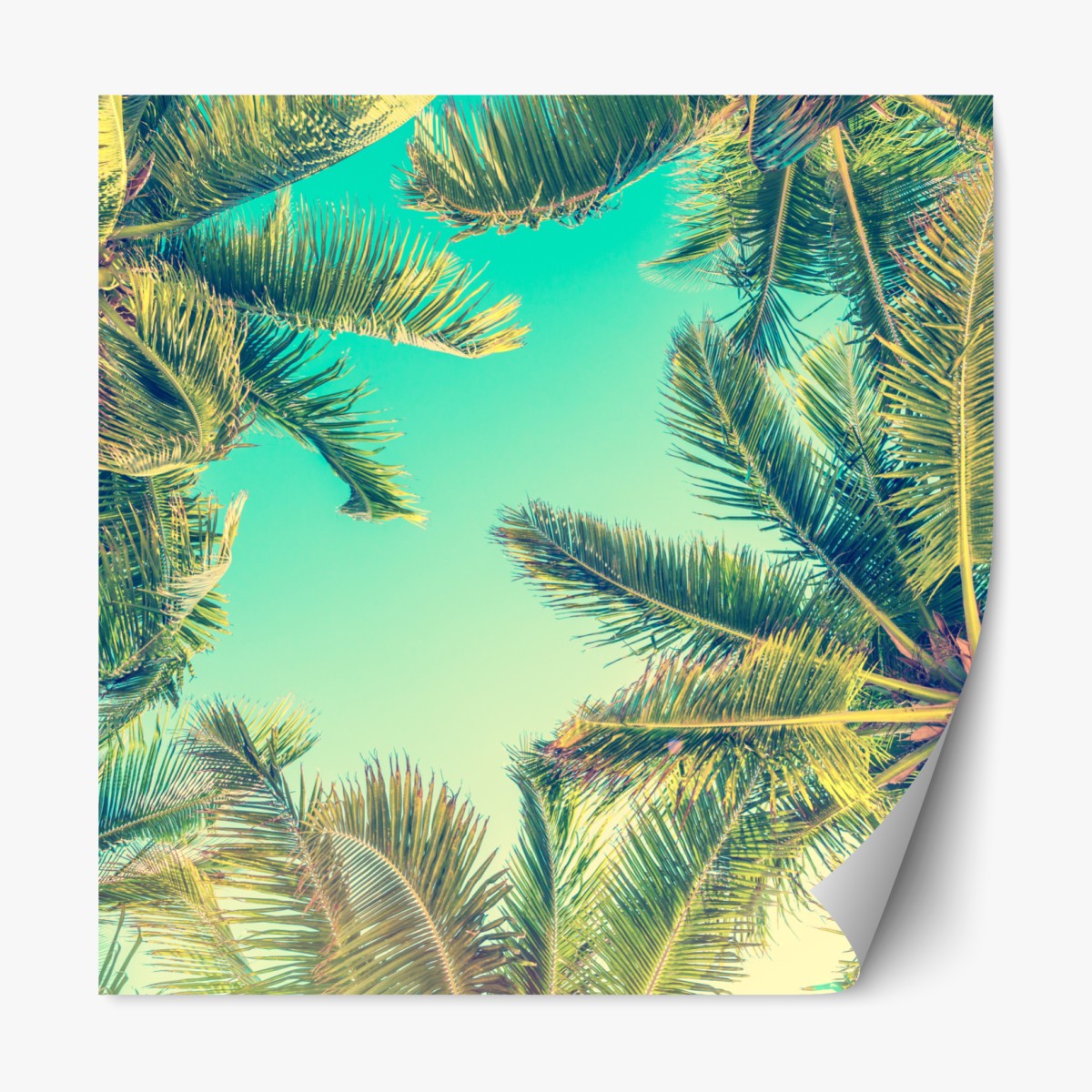 Repositionable sticker vintage turquoise palm canopy