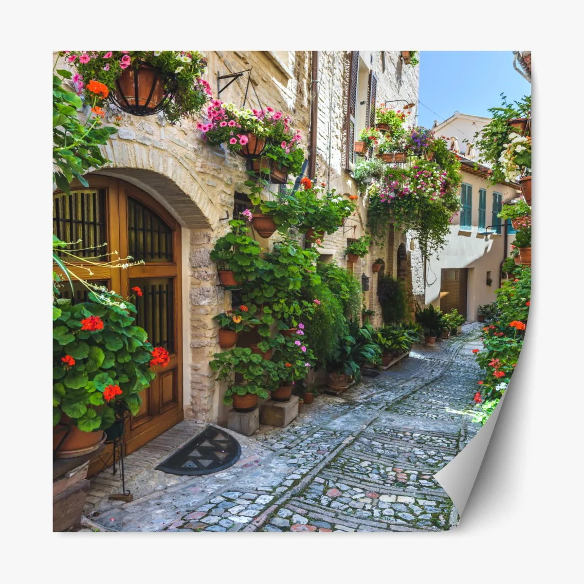 Naklejka repozycjonowalna uroczy zaułek w Spello, Włochy – Wallissimo® Naklejka repozycjonowalna uroczy zaułek w Spello, Włochy – Wallissimo®