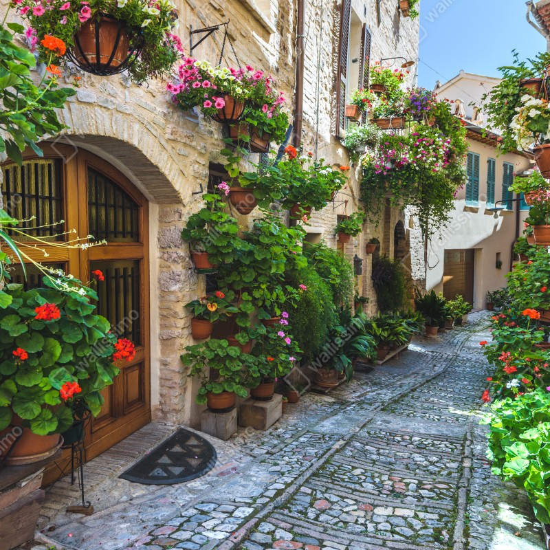 Naklejka repozycjonowalna uroczy zaułek w Spello, Włochy – Wallissimo® Naklejka repozycjonowalna uroczy zaułek w Spello, Włochy – Wallissimo®