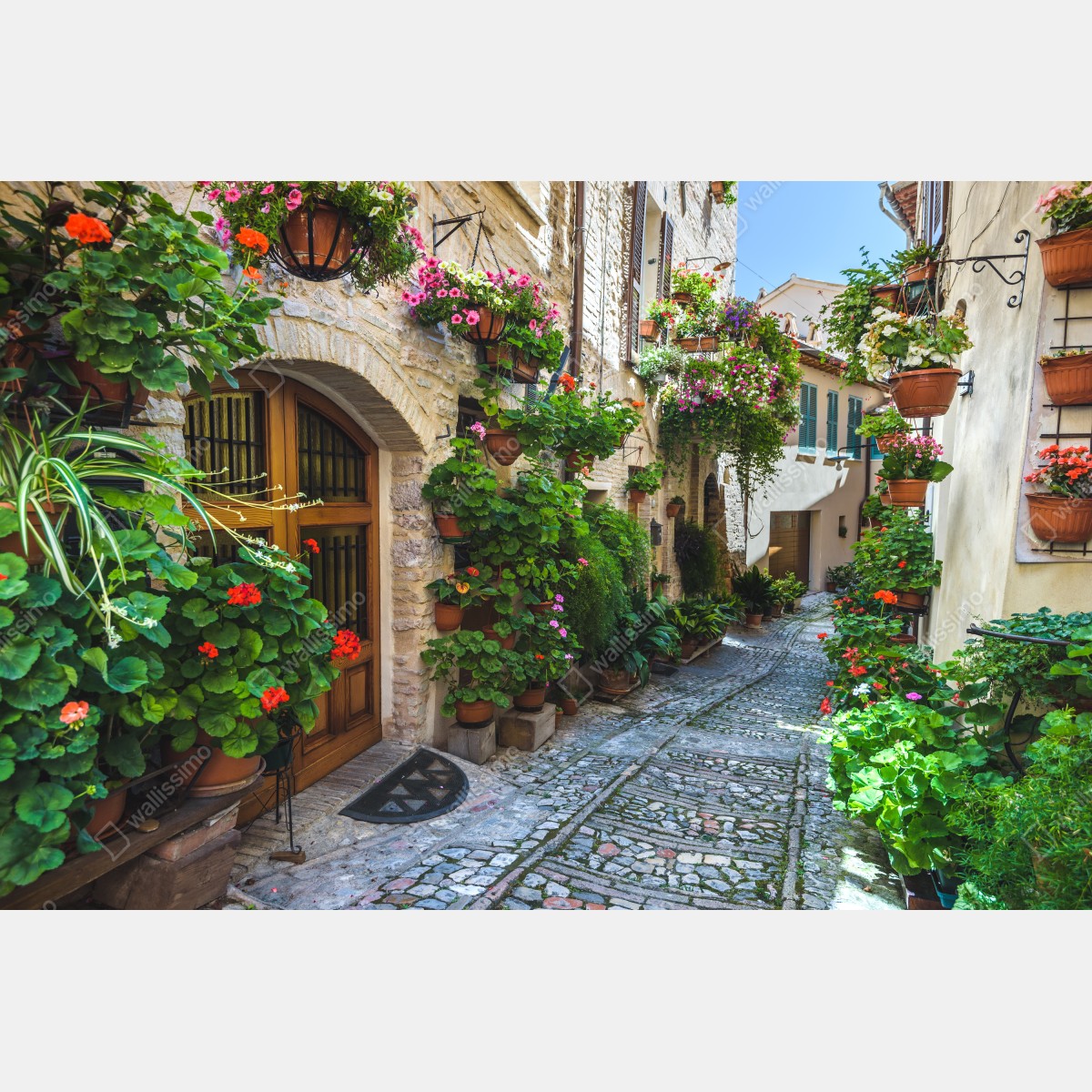 Naklejka repozycjonowalna uroczy zaułek w Spello, Włochy – Wallissimo® Naklejka repozycjonowalna uroczy zaułek w Spello, Włochy – Wallissimo®