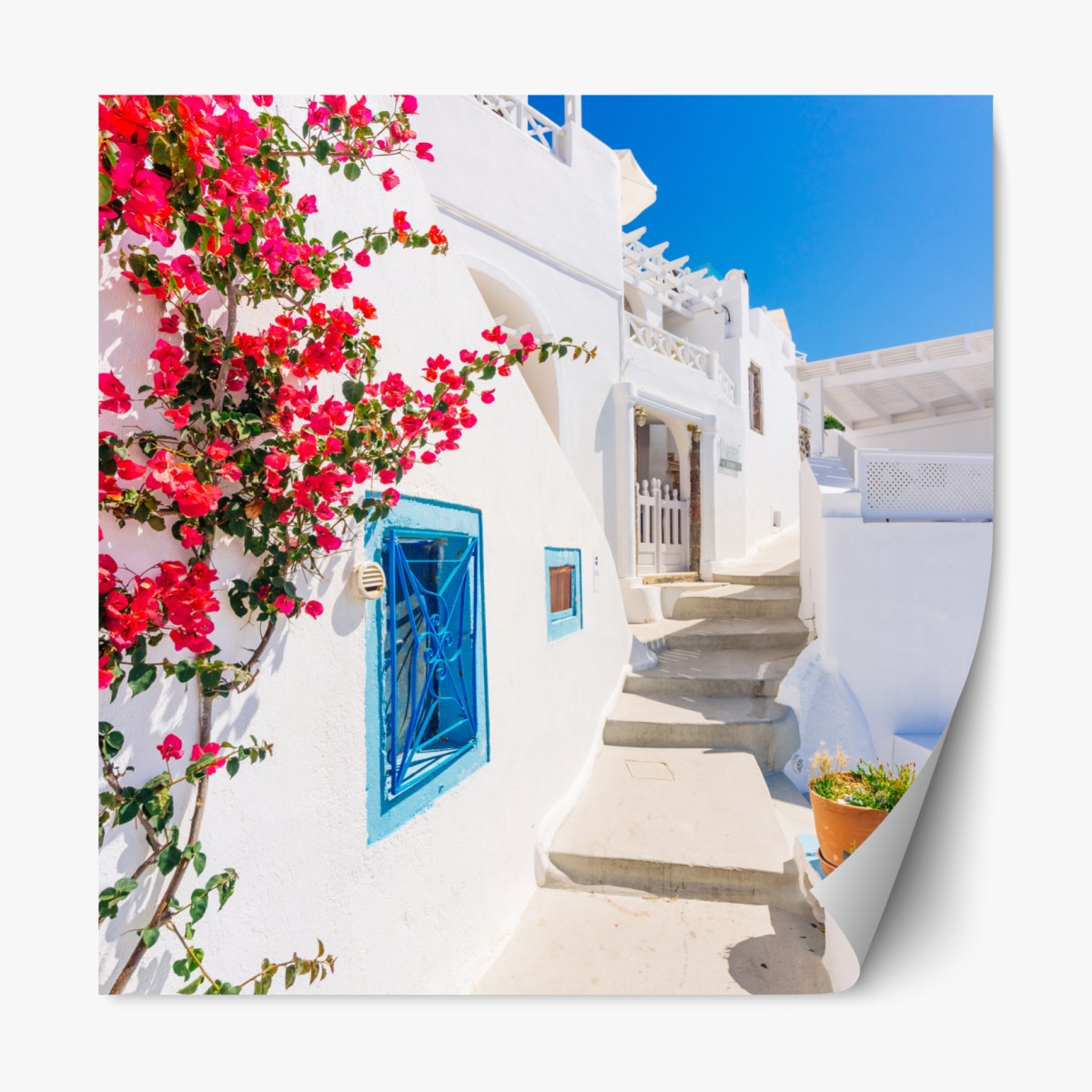 Repositionable sticker Santorini whitewashed street with bougainvillea
