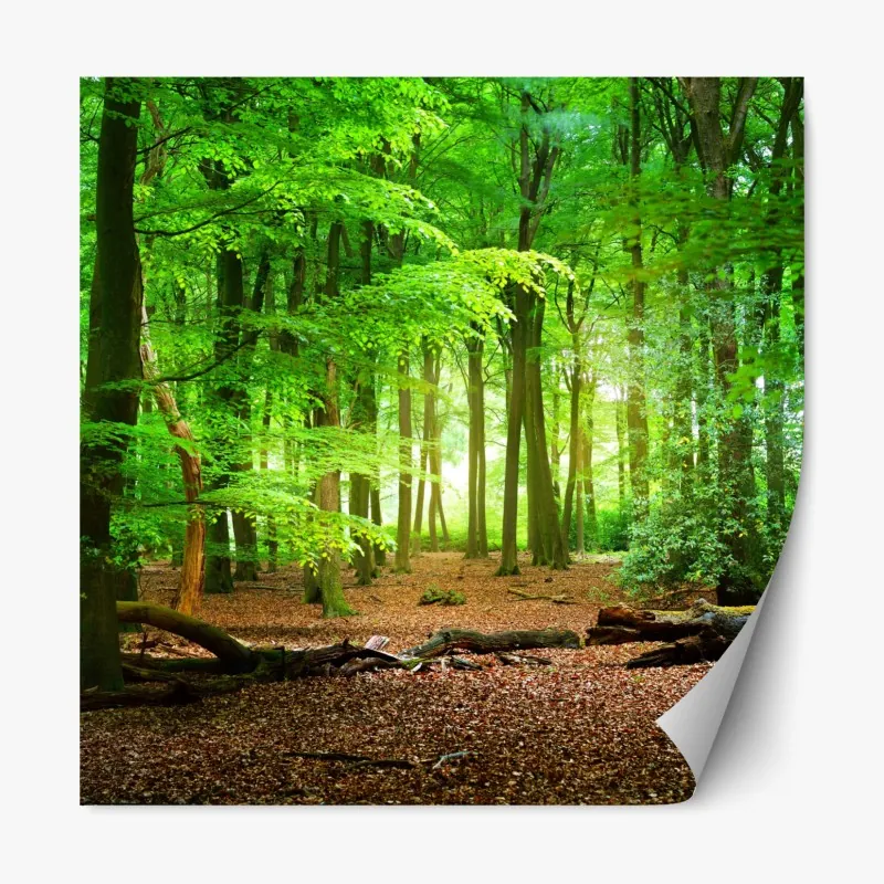 Naklejka repozycjonowalna odważny geometryczny wzór z trójkątami – Wallissimo®