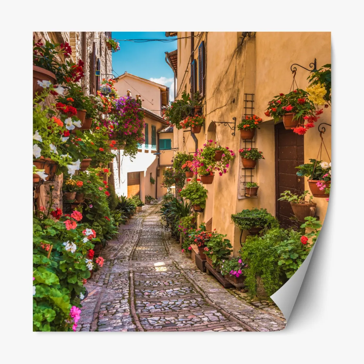 Naklejka repozycjonowalna słoneczna kwiatowa alejka w Umbrii – Wallissimo® Naklejka repozycjonowalna słoneczna kwiatowa alejka w Umbrii – Wallissimo®