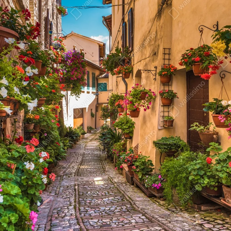 Naklejka repozycjonowalna słoneczna kwiatowa alejka w Umbrii – Wallissimo® Naklejka repozycjonowalna słoneczna kwiatowa alejka w Umbrii – Wallissimo®