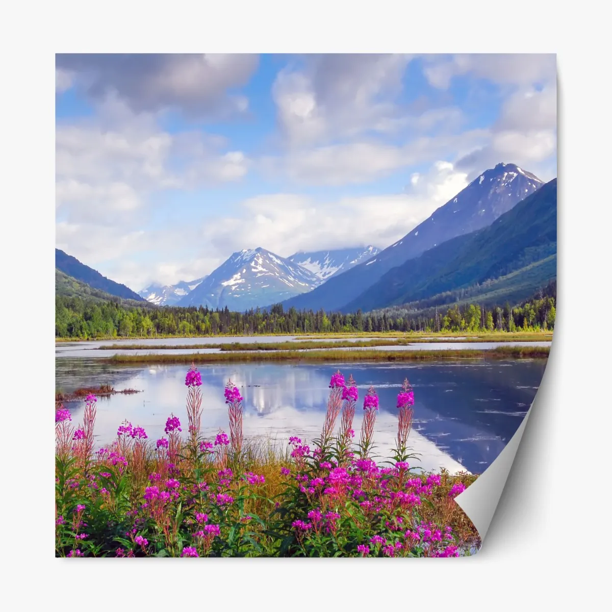 Naklejka repozycjonowalna Tern Lake odbicia, krajobraz górski z Alaski – Wallissimo® Naklejka repozycjonowalna Tern Lake odbicia, krajobraz górski z Alaski – Wallissimo®