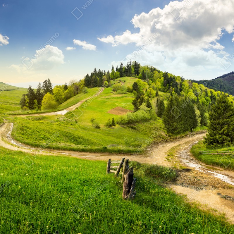 Naklejka repozycjonowalna kręta droga przez zielone wzgórza – Wallissimo® Naklejka repozycjonowalna kręta droga przez zielone wzgórza – Wallissimo®