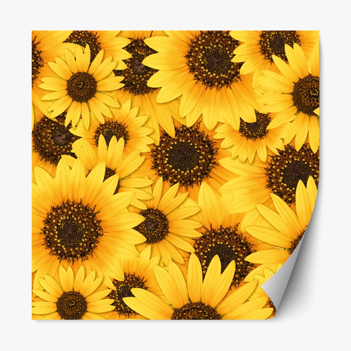 Repositionable sticker golden sunflower bloom pattern