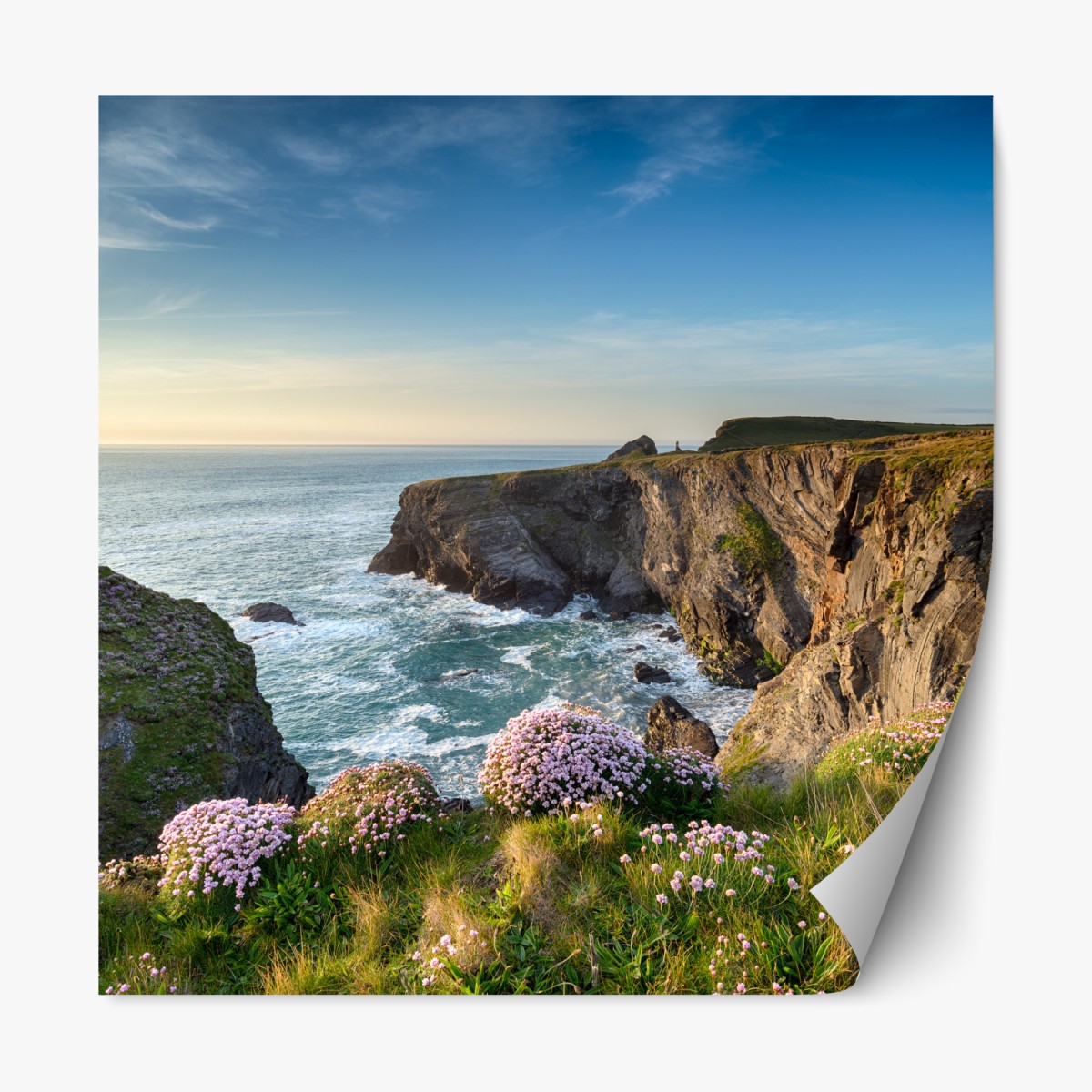 Repositionable sticker coastal cliffs at golden hour