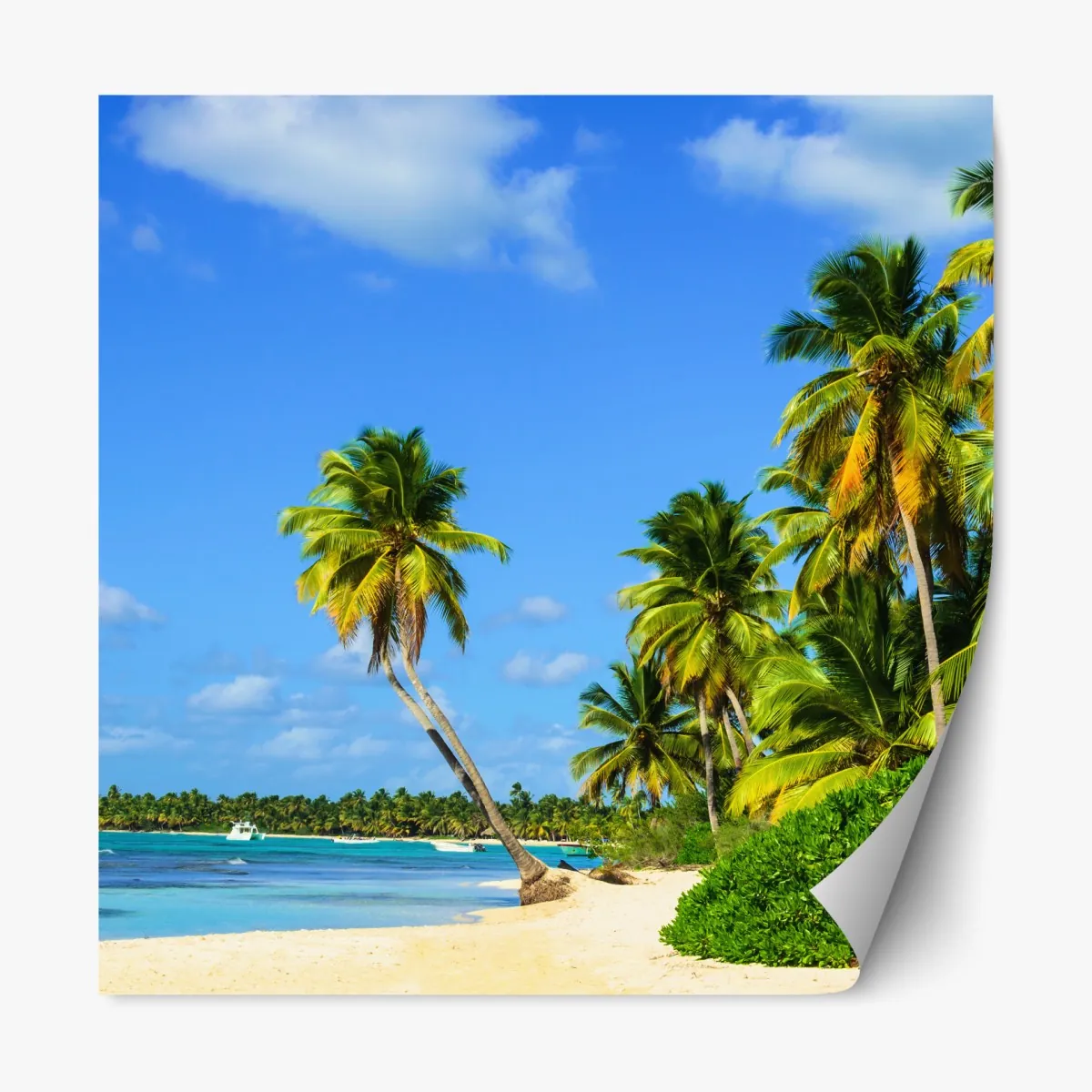 Naklejka repozycjonowalna tropikalna plaża z palmami – Wallissimo® Naklejka repozycjonowalna tropikalna plaża z palmami – Wallissimo®