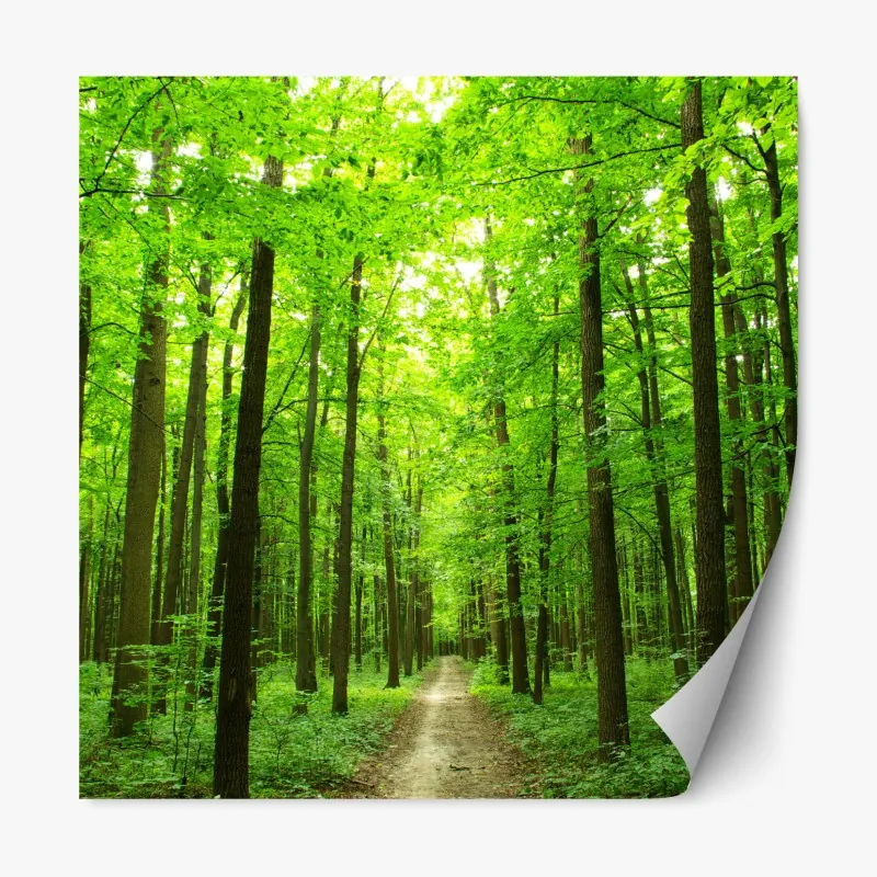 Naklejka repozycjonowalna wieża Eiffla i karuzela w Paryżu – Wallissimo®