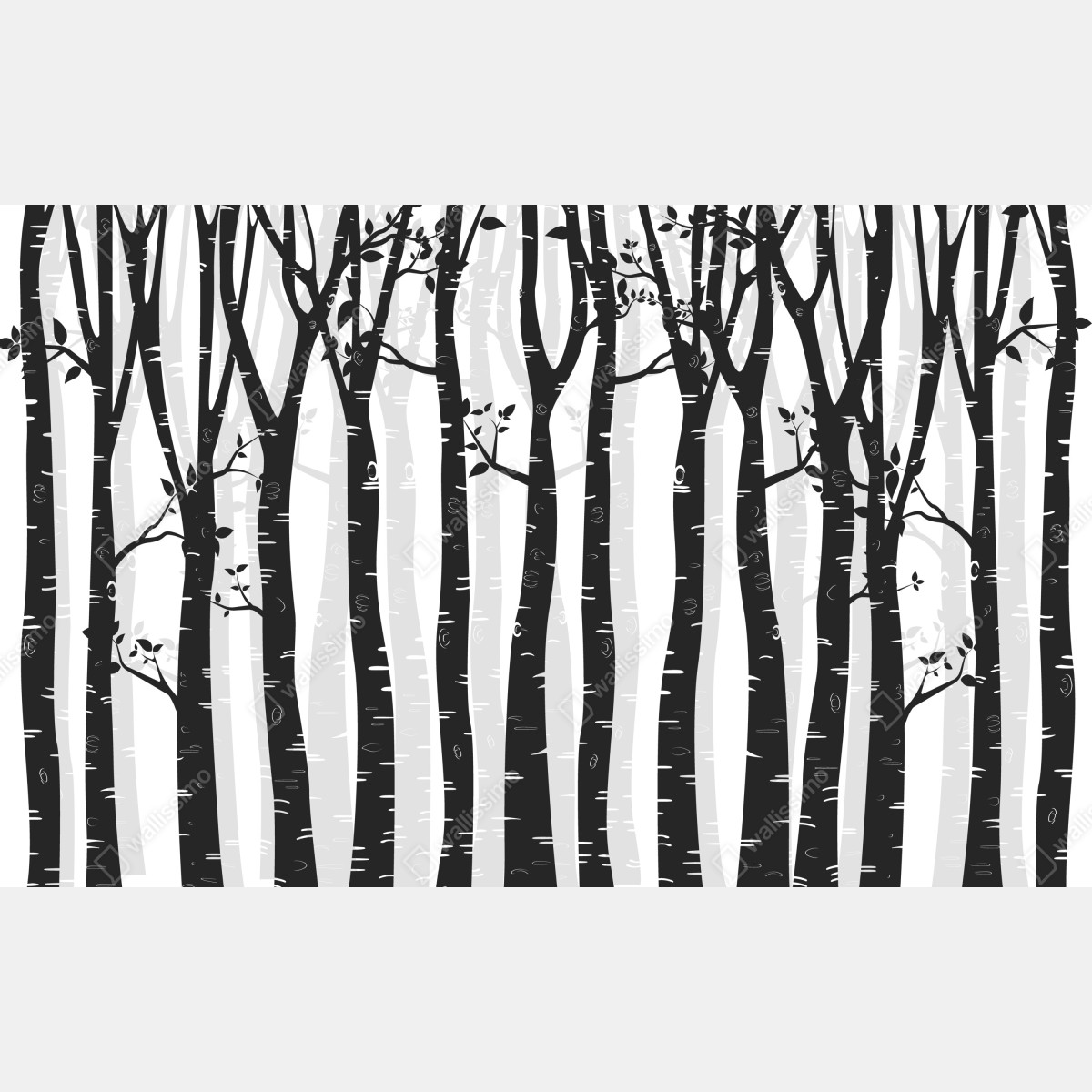 Naklejka na szafę monochromatyczny las brzóz – Wallissimo® Naklejka na szafę monochromatyczny las brzóz – Wallissimo®