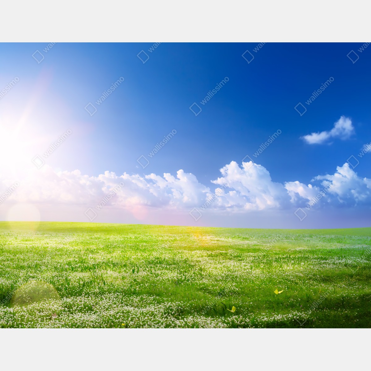 Naklejka na szafę słoneczna wiosenna łąka pod niebieskim niebem – Wallissimo® Naklejka na szafę słoneczna wiosenna łąka pod niebieskim niebem – Wallissimo®