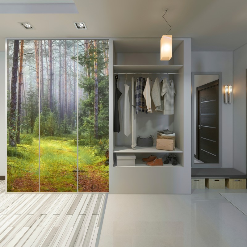 Naklejka na szafę mglisty sosnowy las z ścieżką – Wallissimo® Naklejka na szafę mglisty sosnowy las z ścieżką – Wallissimo®