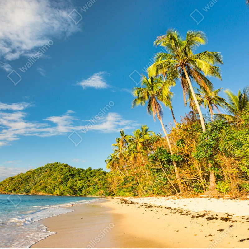 Naklejka na szafę złota tropikalna plaża o zachodzie słońca – Wallissimo® Naklejka na szafę złota tropikalna plaża o zachodzie słońca – Wallissimo®