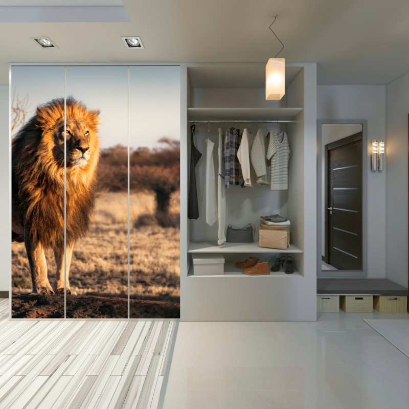 Naklejka na szafę władczy lew na sawannie – Wallissimo® Naklejka na szafę władczy lew na sawannie – Wallissimo®