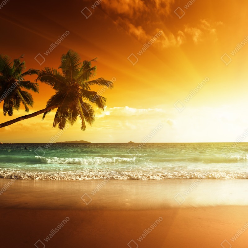 Naklejka na szafę tropikalny zachód słońca nad plażą na Karaibach – Wallissimo® Naklejka na szafę tropikalny zachód słońca nad plażą na Karaibach – Wallissimo®