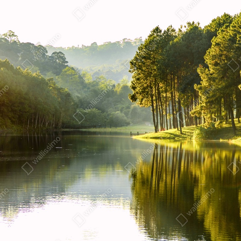 Naklejka na szafę spokojny las sosnowy nad cichym jeziorem – Wallissimo® Naklejka na szafę spokojny las sosnowy nad cichym jeziorem – Wallissimo®