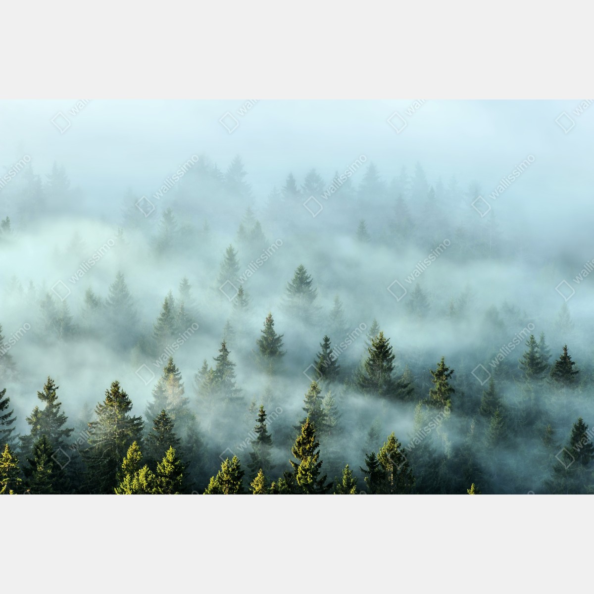 Naklejka na szafę mglisty las jodłowy o poranku – Wallissimo® Naklejka na szafę mglisty las jodłowy o poranku – Wallissimo®