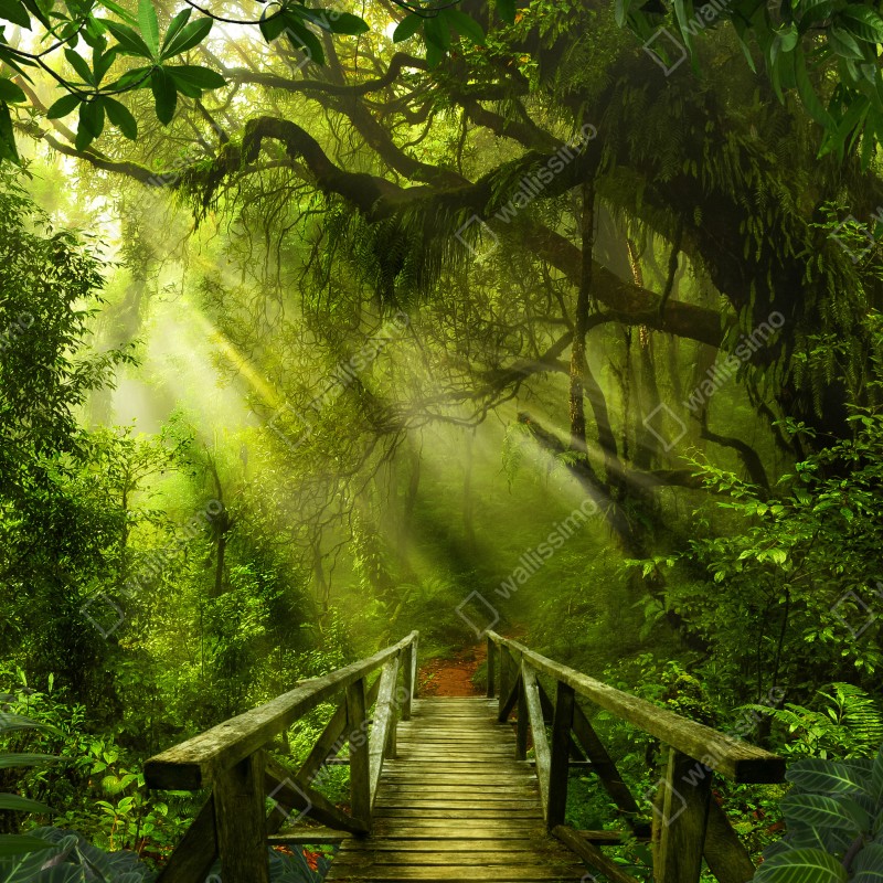 Naklejka na szafę słoneczna leśna ścieżka – Wallissimo® Naklejka na szafę słoneczna leśna ścieżka – Wallissimo®