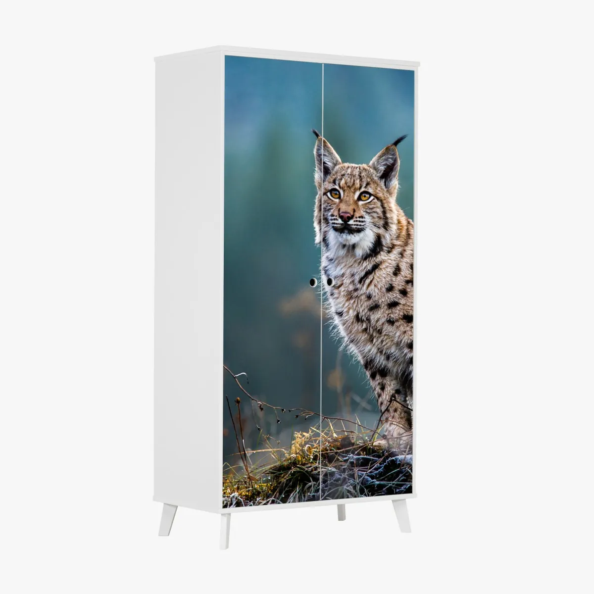 Naklejka na szafę majestatyczny ryś w naturalnym środowisku – Wallissimo® Naklejka na szafę majestatyczny ryś w naturalnym środowisku – Wallissimo®