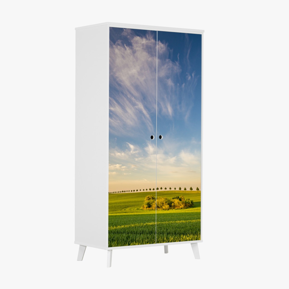 Wardrobe sticker green meadow with a line of young trees