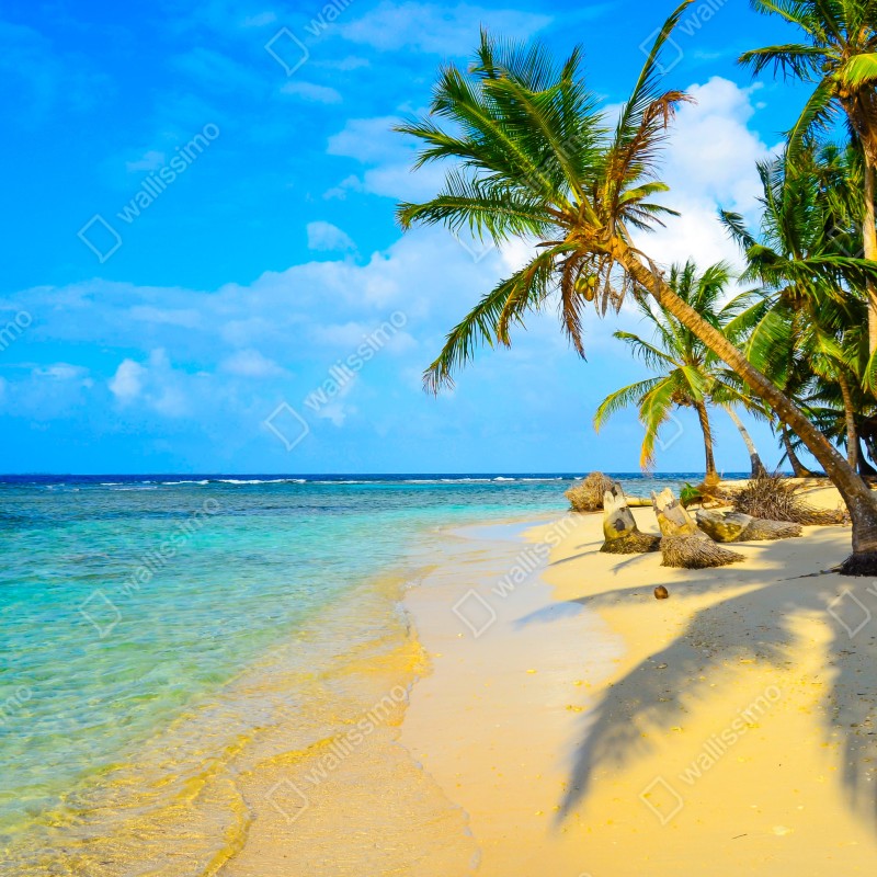 Naklejka na szafę tropikalna turkusowa plaża – Wallissimo® Naklejka na szafę tropikalna turkusowa plaża – Wallissimo®