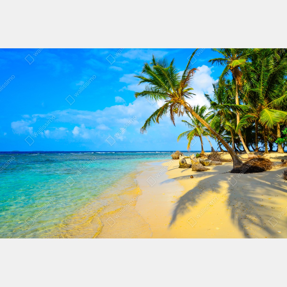 Naklejka na szafę tropikalna turkusowa plaża – Wallissimo® Naklejka na szafę tropikalna turkusowa plaża – Wallissimo®