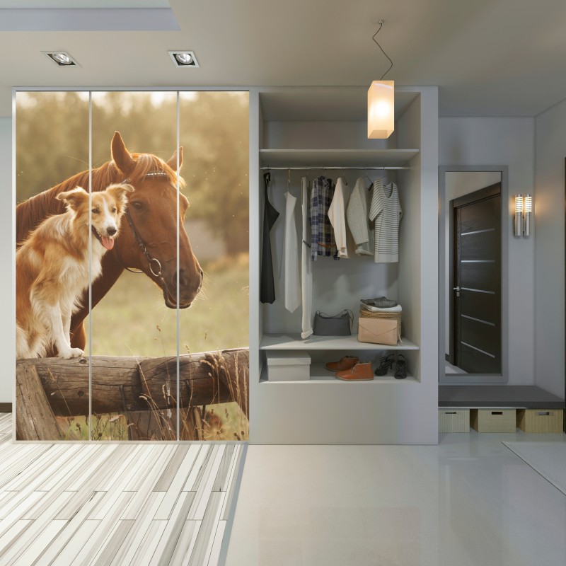 Naklejka na szafę słoneczni towarzysze: pies i koń – Wallissimo® Naklejka na szafę słoneczni towarzysze: pies i koń – Wallissimo®