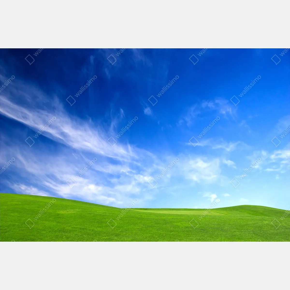 Naklejka na szafę słoneczna zielona łąka pod niebieskim niebem – Wallissimo® Naklejka na szafę słoneczna zielona łąka pod niebieskim niebem – Wallissimo®