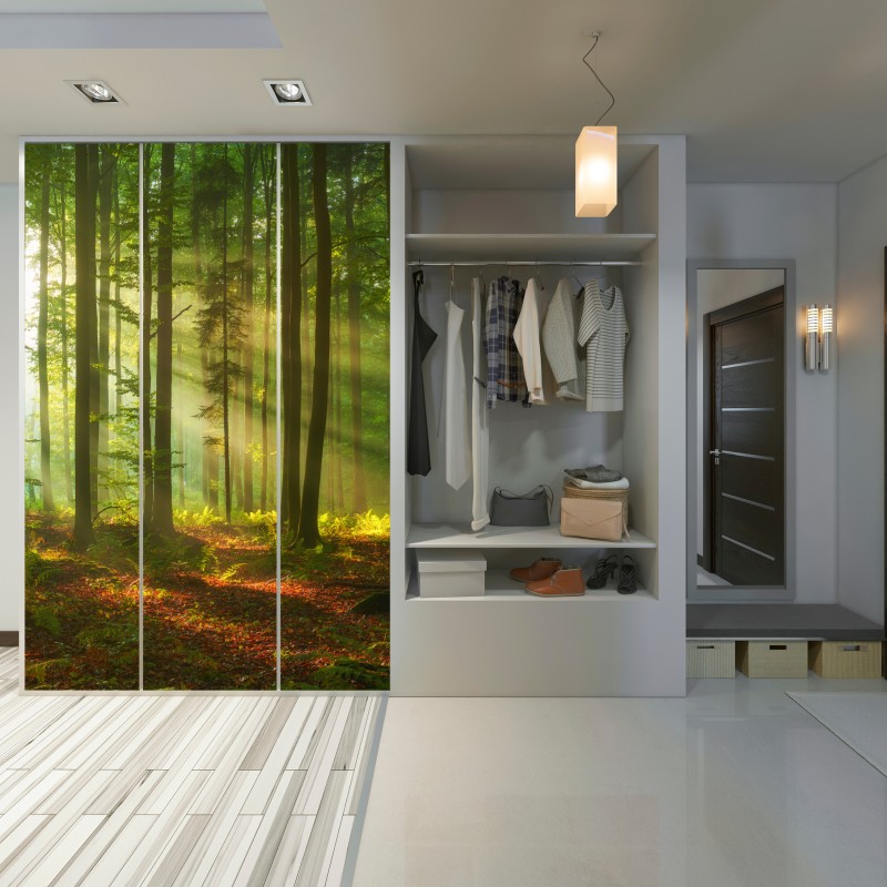 Naklejka na szafę poranne światło w zielonym lesie – Wallissimo® Naklejka na szafę poranne światło w zielonym lesie – Wallissimo®