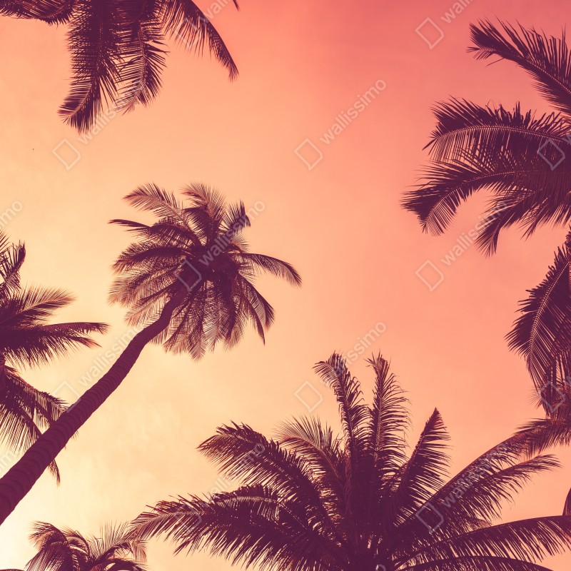 Naklejka na szafę tropikalne palmy o zachodzie słońca – Wallissimo® Naklejka na szafę tropikalne palmy o zachodzie słońca – Wallissimo®