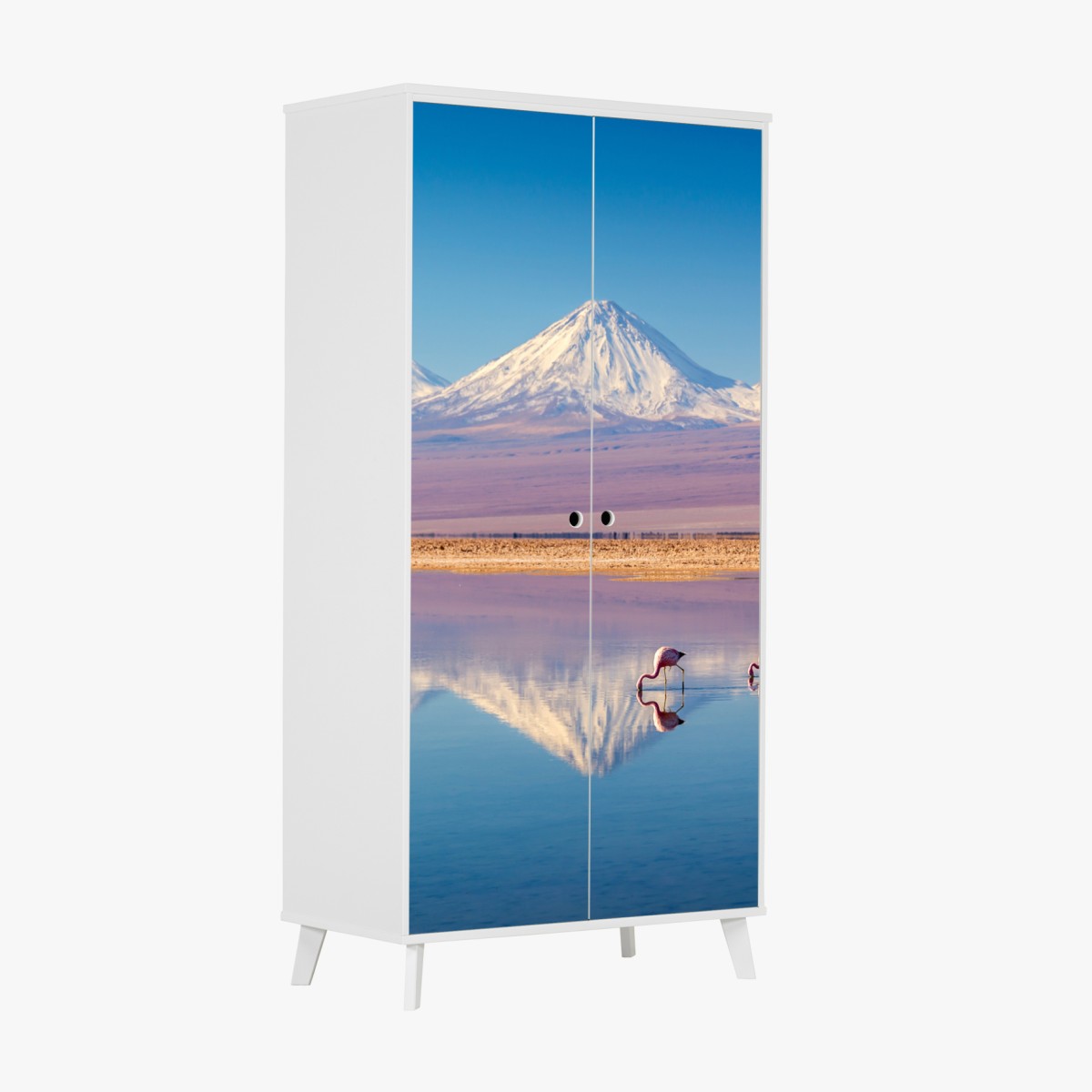 Wardrobe sticker Laguna Chaxa with flamingos and Licancabur