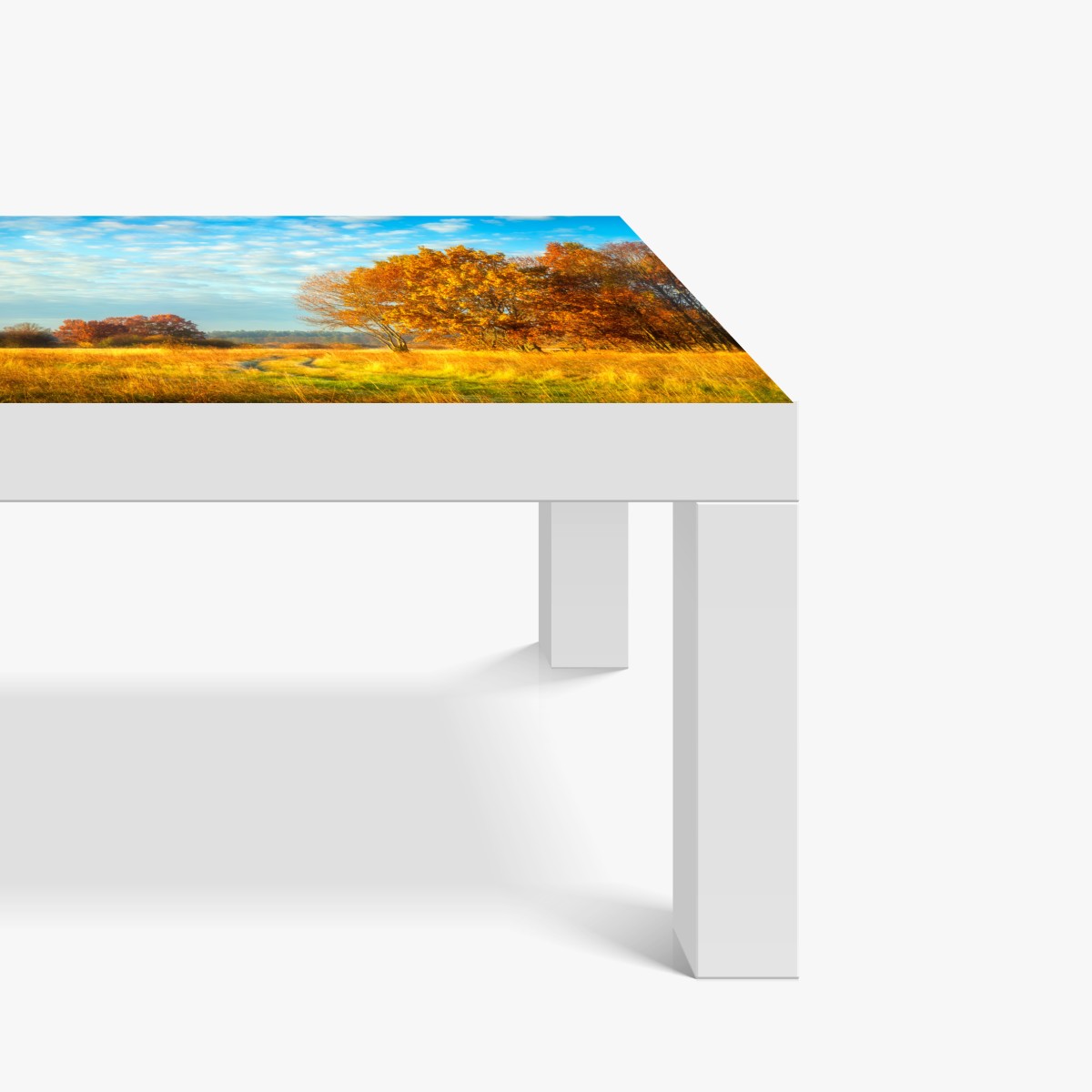 Naklejka na biurko i stół złota jesienna łąka – Wallissimo® Naklejka na biurko i stół złota jesienna łąka – Wallissimo®