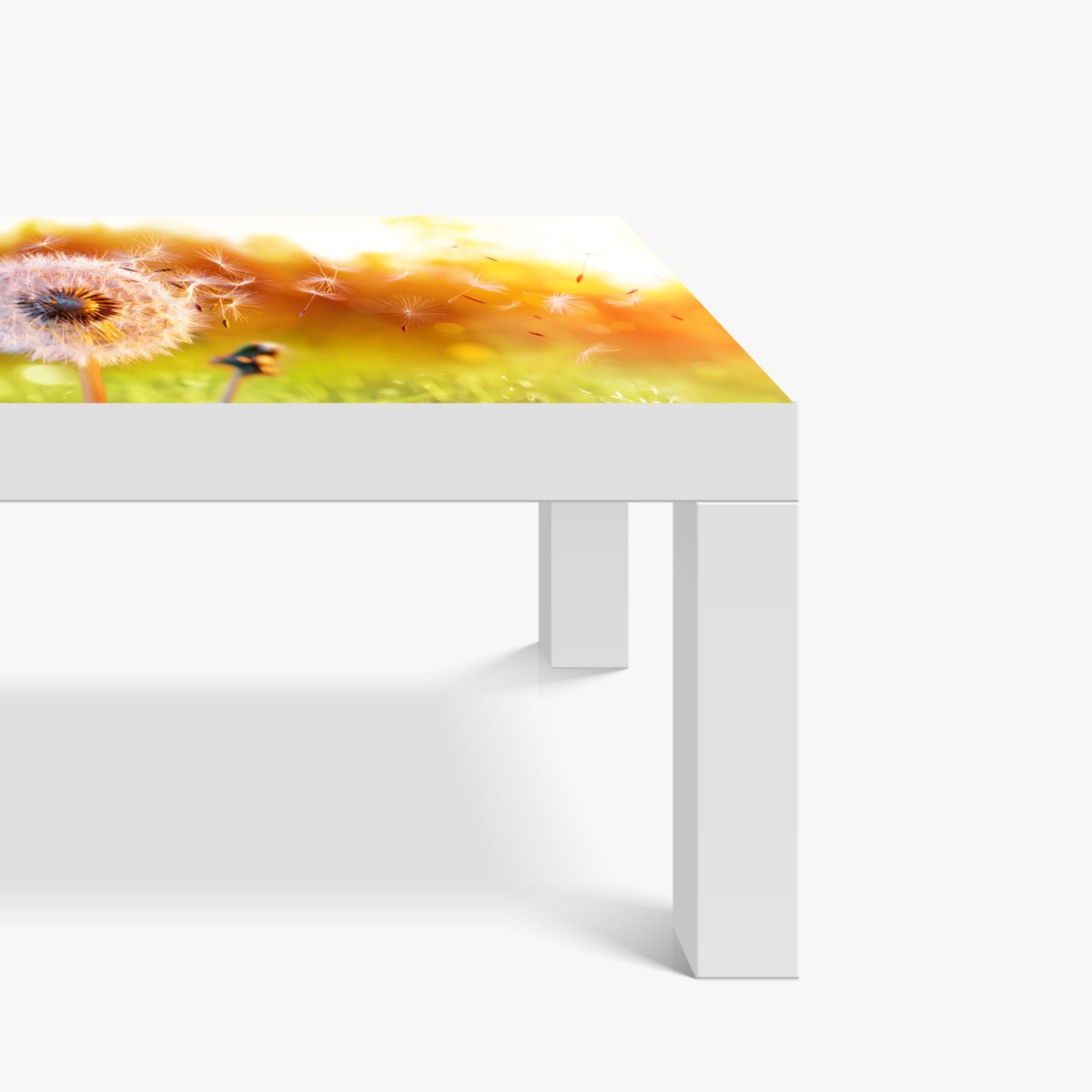 Naklejka na biurko i stół złoty dmuchawiec o zachodzie słońca – Wallissimo® Naklejka na biurko i stół złoty dmuchawiec o zachodzie słońca – Wallissimo®