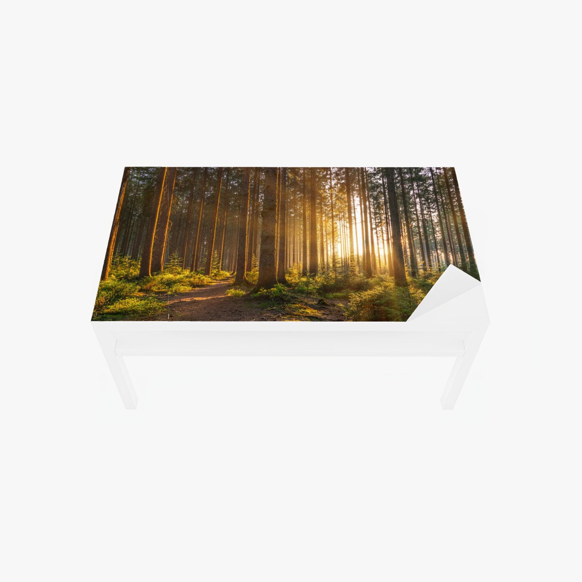 Table & desk veneer sunlit forest pathway at sunrise