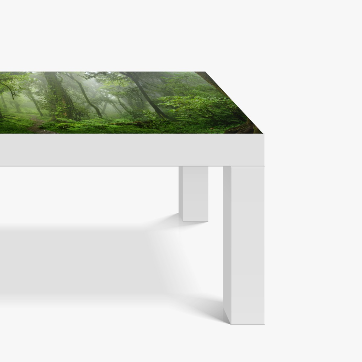 Naklejka na biurko i stół mglisty tropikalny szlak w dżungli – Wallissimo® Naklejka na biurko i stół mglisty tropikalny szlak w dżungli – Wallissimo®