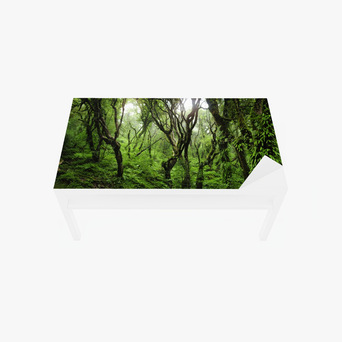 Table & desk veneer mystic green forest canopy