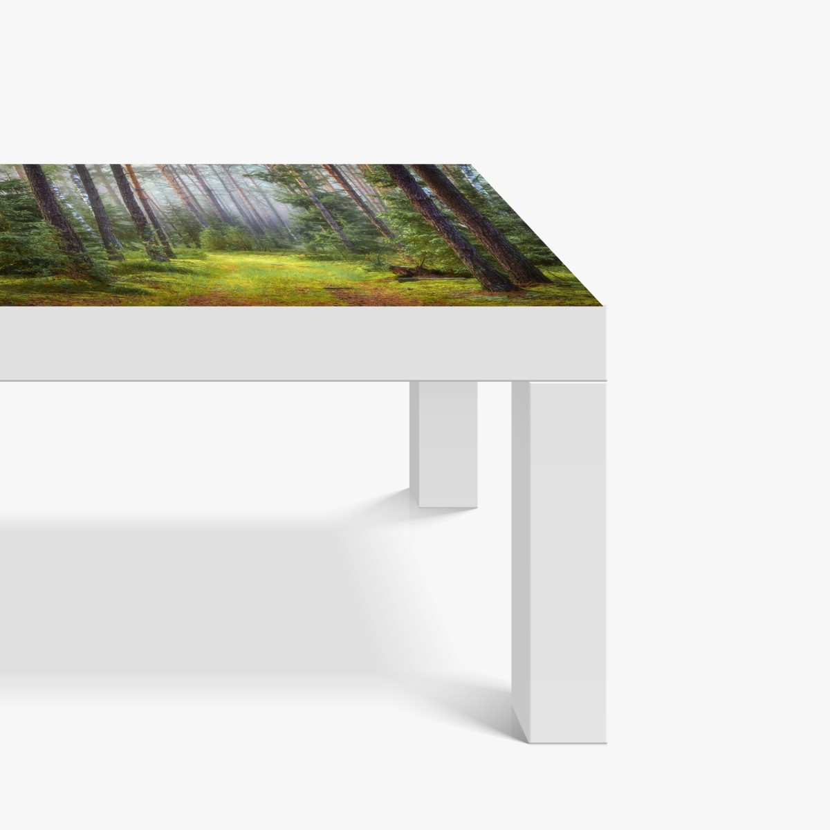 Naklejka na biurko i stół mglisty sosnowy las z ścieżką – Wallissimo® Naklejka na biurko i stół mglisty sosnowy las z ścieżką – Wallissimo®