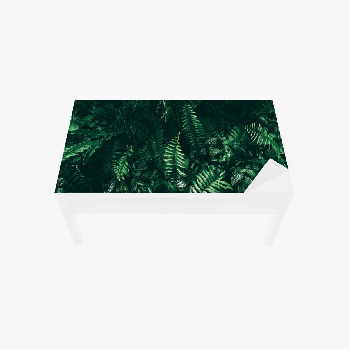 Table & desk veneer tropical green leaves composition
