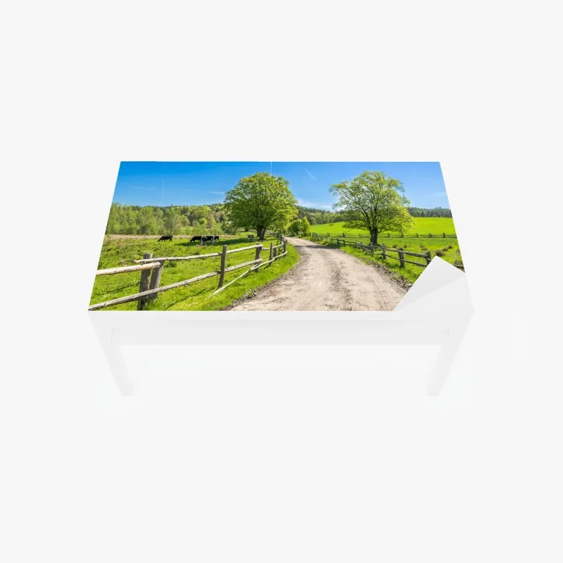 Naklejka na biurko i stół gałązki oliwne w akwareli – Wallissimo®