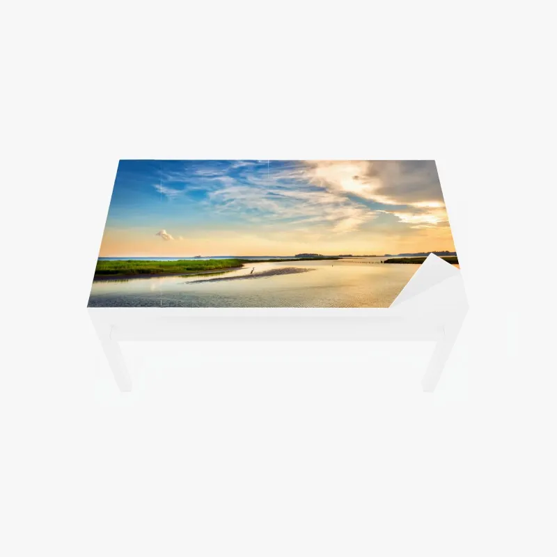 Naklejka na biurko i stół stylizowany motyw tygrysa na turkusowym tle – Wallissimo®