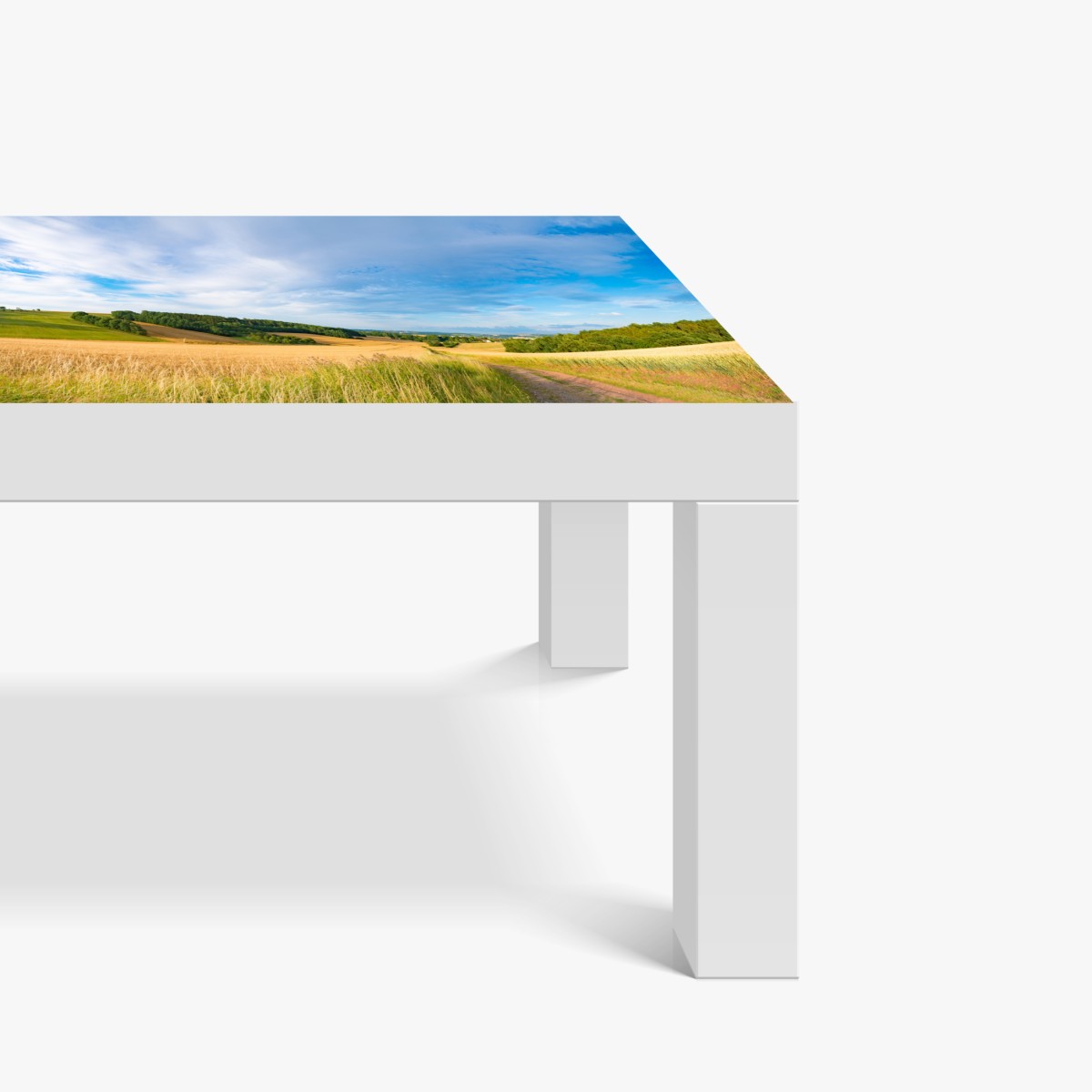 Naklejka na biurko i stół poranna panorama pszenicy w Kansas – Wallissimo® Naklejka na biurko i stół poranna panorama pszenicy w Kansas – Wallissimo®