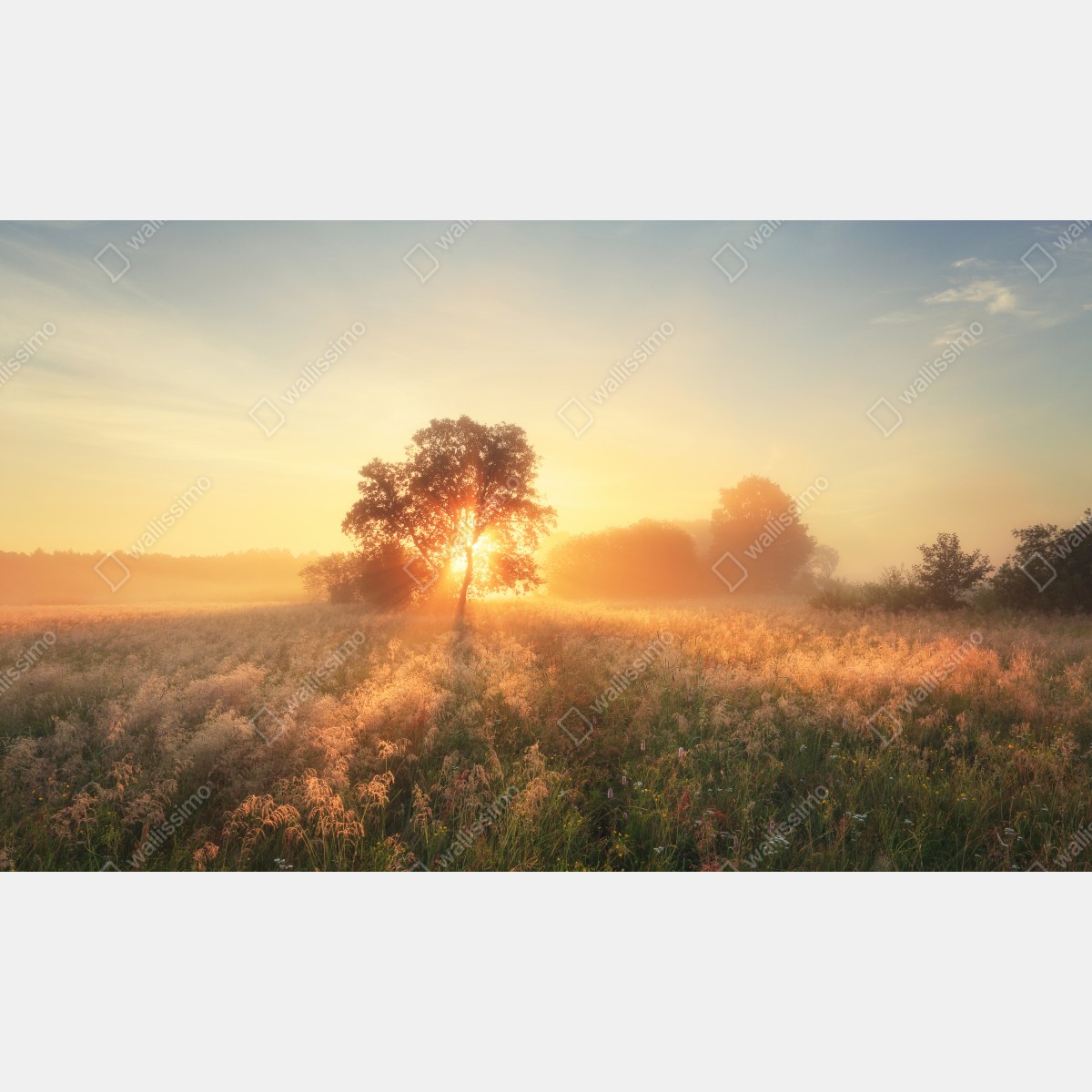 Naklejka na biurko i stół złoty wschód słońca nad mglistą łąką – Wallissimo® Naklejka na biurko i stół złoty wschód słońca nad mglistą łąką – Wallissimo®